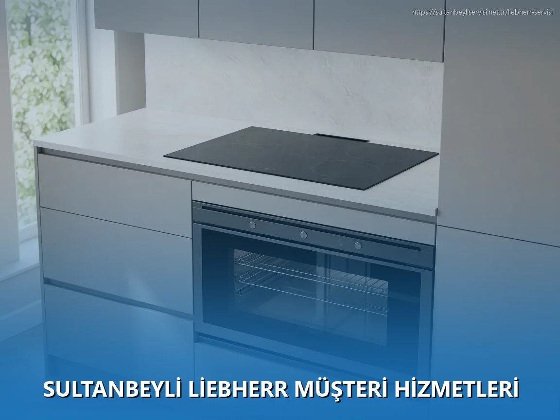 Sultanbeyli Liebherr Müşteri Hizmetleri